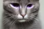 Placeholder: cat purple