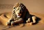 Placeholder: lion made of pebbles in sand