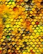 Placeholder: honeycombs of different colors and different sizes, yellow grunge background behind