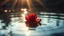 Placeholder: a red rose floating on the water,,8k,rays of sunlight,bokeh,using the Sony Alpha A7R IV,