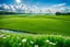 Placeholder: a big dance grass field in country side environment ,green field ,flowers , small river at distance,blue sky pretty clouds ,camera looking at horison