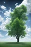 Placeholder: A tree made of hyperrealist clouds, beautiful, plain clean and clear sky in the background