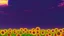 Placeholder: purple sky full of stars, sunflower field, anime