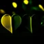 Placeholder: two hearts, dark green and yellow colours, romantic atmosphere