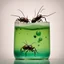 Placeholder: drink of acid with ants swimming inside