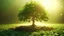 Placeholder: Small tree growing with sunshine in garden. eco concept, Generative AI
