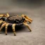 Placeholder: Tarantulas are spiders that belong to the family Theraphosidae. They are found in many parts of the world and are known for their large size, long lifespan, and venomous bites. Most tarantulas are not dangerous to humans, but some species have venom that can cause mild to moderate symptoms, such as pain, swelling, and redness at the bite site.