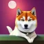 Placeholder: shiba friends with a white cat