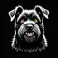Placeholder: head of an angry scruffy black terrier on black background, yellow eyes, defined teeth, turnedside, illustration