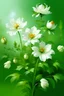 Placeholder: Ambrosia flower oil painting on white and green background