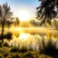 Placeholder: misty lake and trees at the sunrise