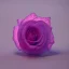 Placeholder: transparent multicolor crystal rose leaf