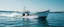 Placeholder: hornet boat