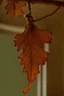 Placeholder: orthodox church branch of dried out oak leaves tied with a knot