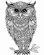 Placeholder: Owl, coloring page , full body (((((white background))))), only use an outline., real style, line art, white color, clean line art, white background, Sketch style