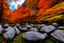 Placeholder: Epic cloud landscape, big rocks, autumn trees, Ultra hd, 4k, Photography, hyperrealistic