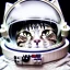 Placeholder: Cat portrait in space suit