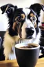 Placeholder: Dog drank coffee