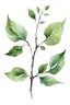 Placeholder: watercolor drawing of a dark green Gothic twig with leaves on a white background, Trending on Artstation, {creative commons}, fanart, AIart, {Woolitize}, by Charlie Bowater, Illustration, Color Grading, Filmic, Nikon D750, Brenizer Method, Side-View, Perspective, Depth of Field, Field of View, F/2.8, Lens Flare, Tonal Colors, 8K, Full-HD, ProPhoto RGB, Perfectionism, Rim Lighting, Natural Lighting, Soft Lighting, Accent Lighting, Diffraction Grading, With Imperfections,