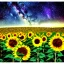 Placeholder: above a field of sunflowers the Milky Way curves in a summer sky digital art