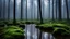 Placeholder: realistic photo of an outdoor scene of a tranquil foggy swamp like forest with thin trees, healthy greens, blue sky