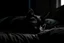 Placeholder: Sleeping in a dark room with a black cat. Calming atmosphere.