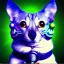 Placeholder: Domestic Pets On Acid Trips