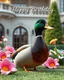 Placeholder: Generate image: Generate image: Generate image: A macro 3D render of a cute, lovely mallard with dark green neck ,made of translucent, glossy,colored jelly material. is landing in yard of a luxury villa next to flowers ,subsurface scattering and gelatinous texture . High-quality CGI, octane render, 8k resolution, whimsical, adorable, clean composition. long shot ,4:3,write in top in 3d "Happy Birthday"