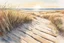 Placeholder: watercolor and pen illustration, loose brush strokes, stylish landscape, close up of weathered broken wooden fence with vertical slats on a sand dune, Maine beach on a sunny sunrise in the spring, sun glare, dramatic shadows, wavy fescue beach grass, style of Ansel Adams, complex contrast, dynamic diagonal composition, muted pastel colors, moody, nostalgic