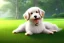 Placeholder: Cute Dog Laying Down On Grass, Sunny, Bright Lighting, Cute, Hyper Detailed, Hyper Realistic,