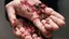 Placeholder: a woman's palms of her hands with dried and caked on blood all over them