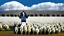 Placeholder: barack obama at podium speaking to large field of sheep