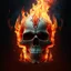 Placeholder: fiery skull