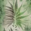 Placeholder: generate a smokey weed wallpaper with asymetrical random weed pattern bplacement, watercolour sketch