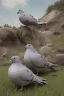 Placeholder: Chubby and cute pigeons