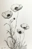 Placeholder: Minimalist ink pencil and charcoal drawing of poppies