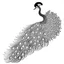 Placeholder: white, A peacock decoration, line art, white background, outline, with images neatly contained within the background, just black and white color, full body, no color. Looking front , front view, 8k