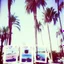 Placeholder: palm trees and polaroids