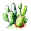 Placeholder: cactus plant in the style of watercolor painting,sharp/prickly,on white backgroud