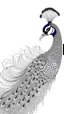 Placeholder: White, minimalis line art, peacock realistis, white background, full image, black lines, vector, centered on canvas