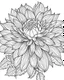 Placeholder: real massive Dahlia flower coloring page