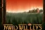 Placeholder: "Twin Peaks" movie poster, woods, mist, mountain, by david lynch, hotel, red and green