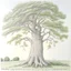 Placeholder: tree, colored pencil drawing, realistic, serene, landscape, detailed