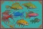 Placeholder: a fish, as a 8-bit sprite