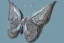 Placeholder: butterfly Mechanical