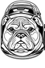 Placeholder: outline art for real Bulldog-IN-CARS Coloring page, Japanese manga style, cartoon style, cute face, white background sketch style, full body is a must, only use outline, clean line art, no shadow, bold outlineMasterpiece, Ominous, Golden Ratio, Highly Detailed, photo, poster, fashion, illustration