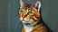 Placeholder: Portrait of a cat by Van Gogh