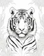 Placeholder: Outline art for tiger coloring pages, white background, sketch style, full tiger body, only use outline, clean line art, white background, no shadows and clear and well outlined