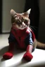 Placeholder: spider man cat