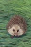 Placeholder: realistic nature photo of a hedgehog